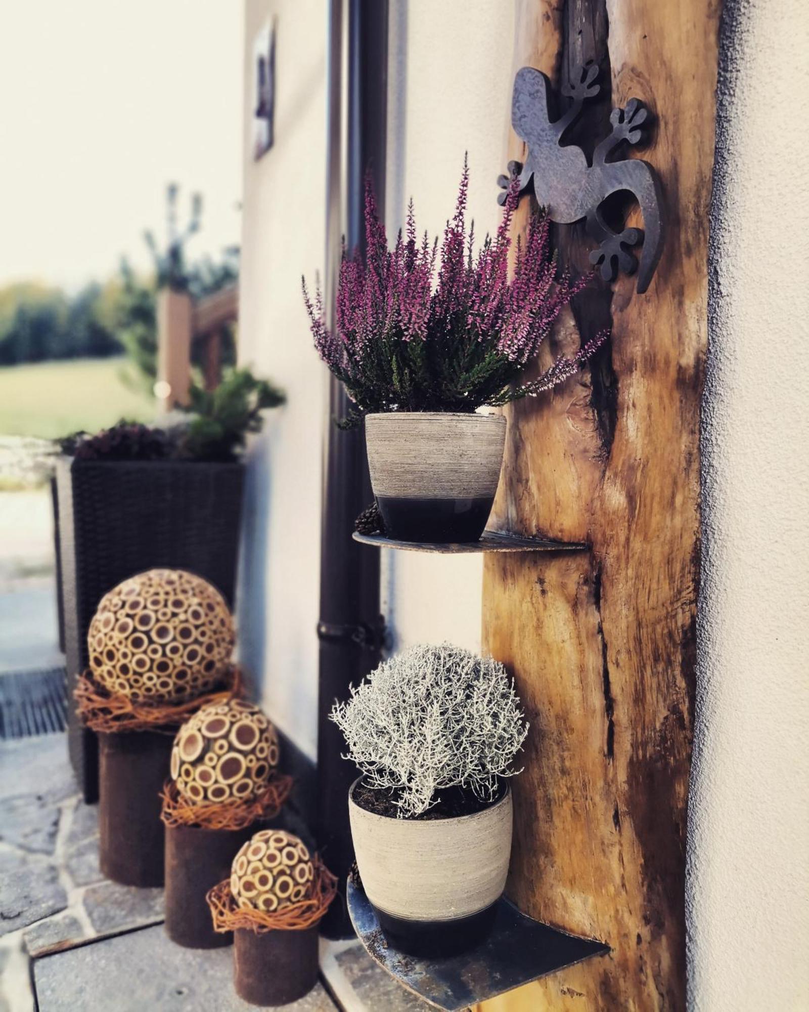 Schupferhof Apartment Petersberg ภายนอก รูปภาพ