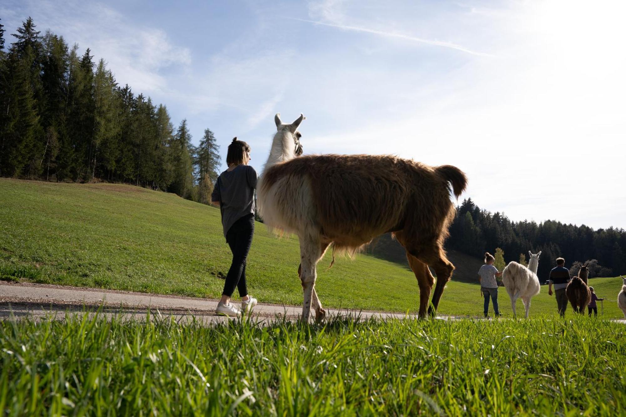 Schupferhof Apartment Petersberg ภายนอก รูปภาพ