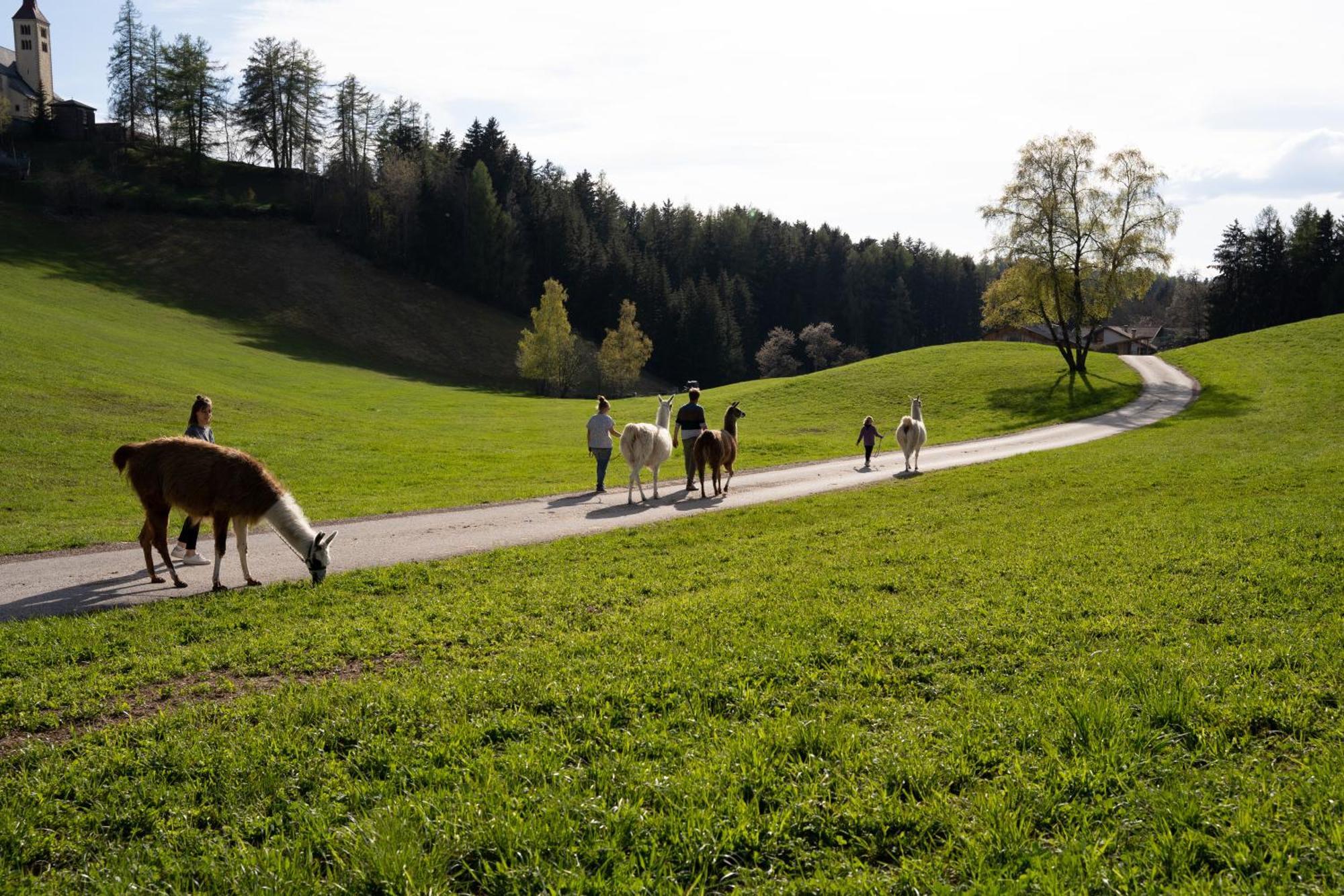 Schupferhof Apartment Petersberg ภายนอก รูปภาพ