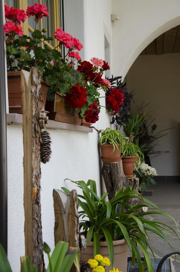 Schupferhof Apartment Petersberg ภายนอก รูปภาพ